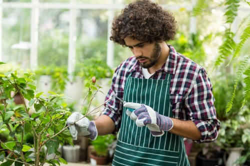 Seasonal hedge trimming techniques for a healthy garden