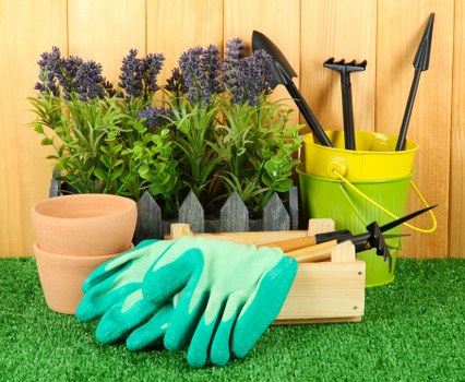 Professional gardener trimming hedges with precision tools